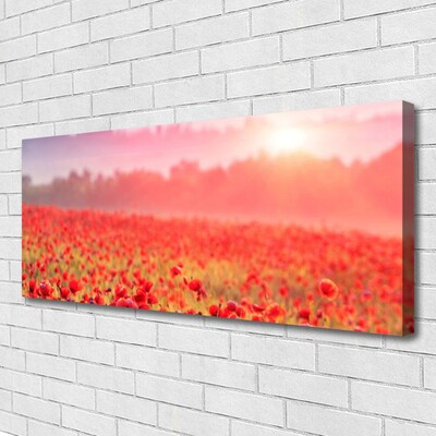 Tableaux sur toile Prairie fleurs nature rouge vert