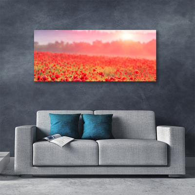 Tableaux sur toile Prairie fleurs nature rouge vert