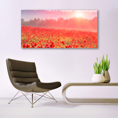 Tableaux sur toile Prairie fleurs nature rouge vert