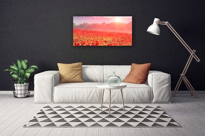 Tableaux sur toile Prairie fleurs nature rouge vert