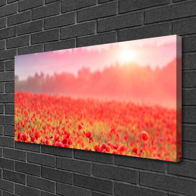 Tableaux sur toile Prairie fleurs nature rouge vert