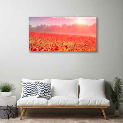 Tableaux sur toile Prairie fleurs nature rouge vert