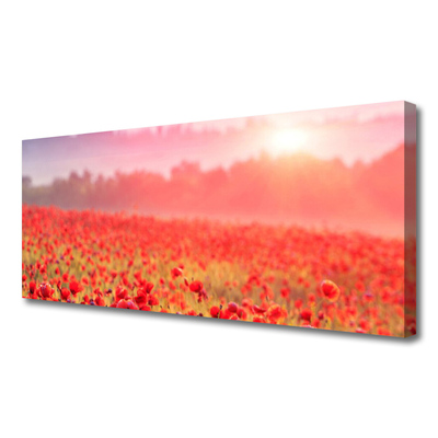 Tableaux sur toile Prairie fleurs nature rouge vert