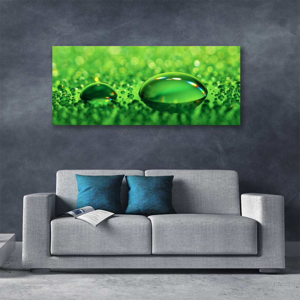 Tulup Impression sur Verre Acrylique 125x50cm - Plastique imprimés Tableau Mural Moderne décoration déco Design 4 Crochets - Herbe de rosée Gouttes Floral