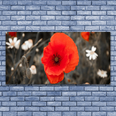 Tableaux sur toile Fleur floral rouge gris