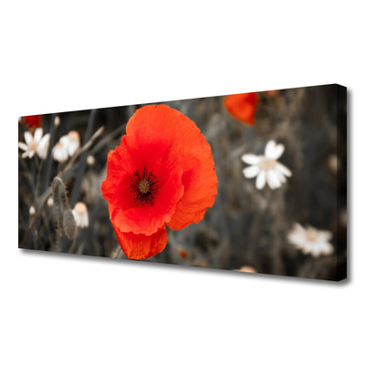 Tableaux sur toile Fleur floral rouge gris