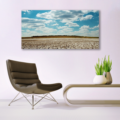 Tableaux sur toile Désert paysage gris vert