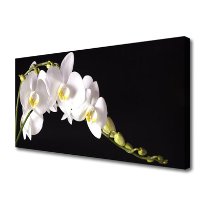 Tableaux sur toile Fleurs floral blanc