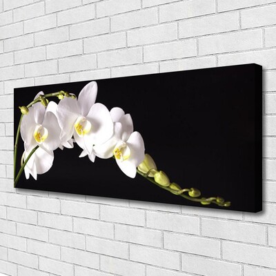 Tableaux sur toile Fleurs floral blanc