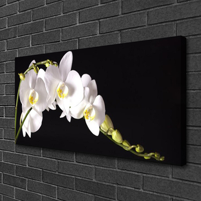 Tableaux sur toile Fleurs floral blanc