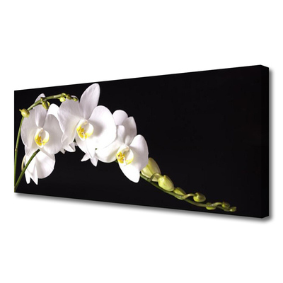 Tableaux sur toile Fleurs floral blanc