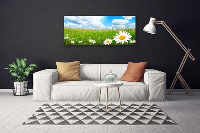 Tableaux sur toile Marguerite herbe nature blanc jaune vert