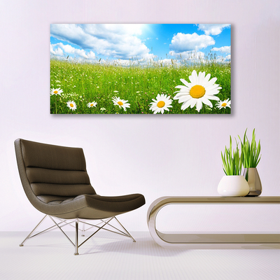 Tableaux sur toile Marguerite herbe nature blanc jaune vert