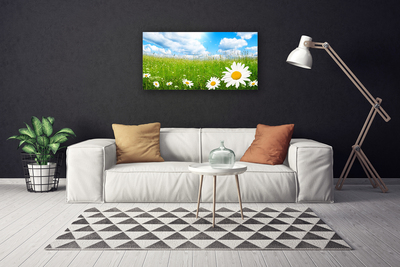 Tableaux sur toile Marguerite herbe nature blanc jaune vert