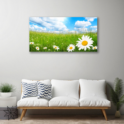 Tableaux sur toile Marguerite herbe nature blanc jaune vert