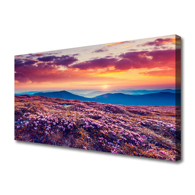 Tableaux sur toile Prairie montagnes fleurs nature violet bleu orange