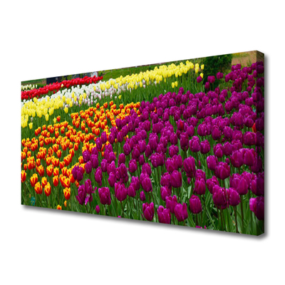 Tableaux sur toile Tulipes floral jaune rouge vert blanc