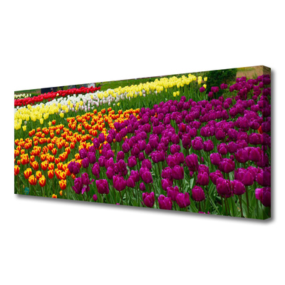 Tableaux sur toile Tulipes floral jaune rouge vert blanc