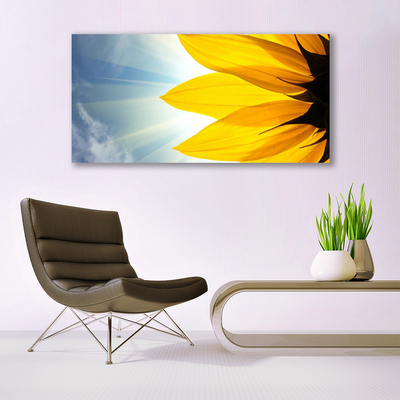 Tableaux sur toile Pétales floral bleu jaune