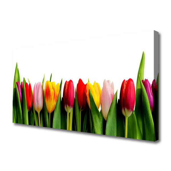 Tableaux sur toile Tulipes floral rouge rose jaune vert