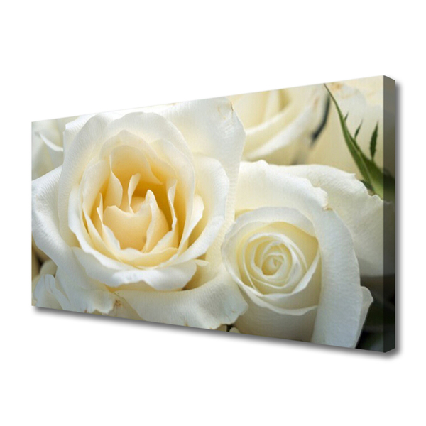 Tableaux sur toile Roses floral blanc vert