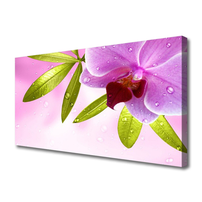 Tableaux sur toile Feuilles fleurs floral rose vert
