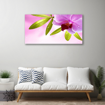 Tableaux sur toile Feuilles fleurs floral rose vert