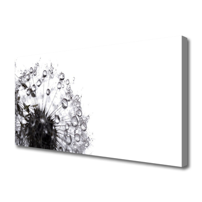Tableaux sur toile Pissenlit floral gris blanc