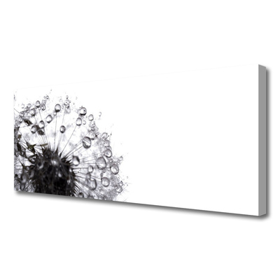 Tableaux sur toile Pissenlit floral gris blanc