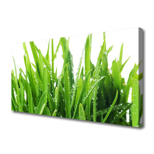 Tableaux sur toile Herbe floral vert