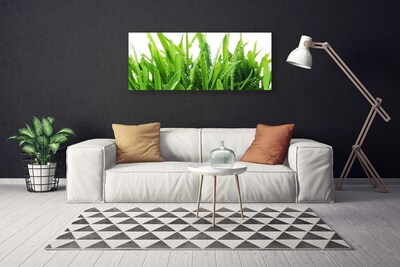 Tableaux sur toile Herbe floral vert