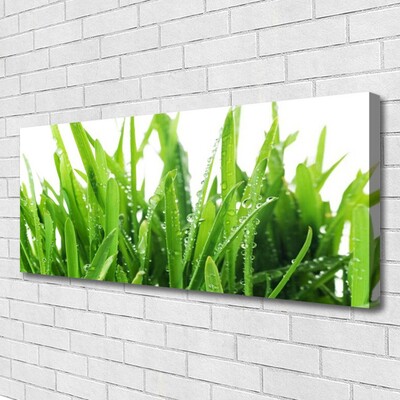 Tableaux sur toile Herbe floral vert