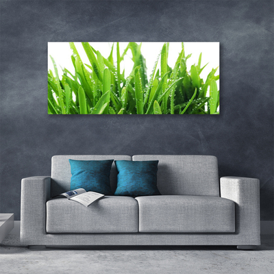 Tableaux sur toile Herbe floral vert