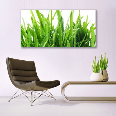 Tableaux sur toile Herbe floral vert