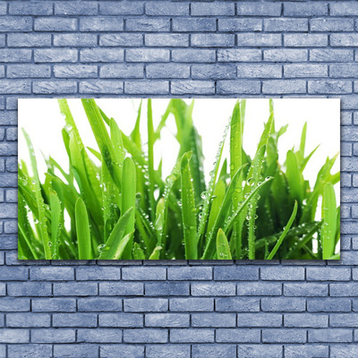 Tableaux sur toile Herbe floral vert