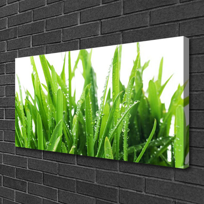 Tableaux sur toile Herbe floral vert