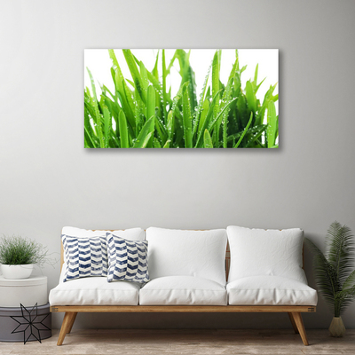 Tableaux sur toile Herbe floral vert