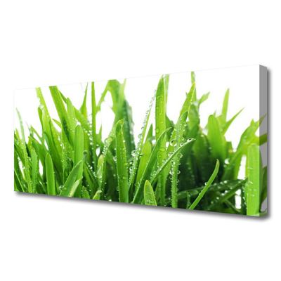 Tableaux sur toile Herbe floral vert