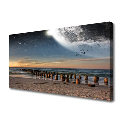 Tableaux sur toile Mer plage paysage brun noir bleu