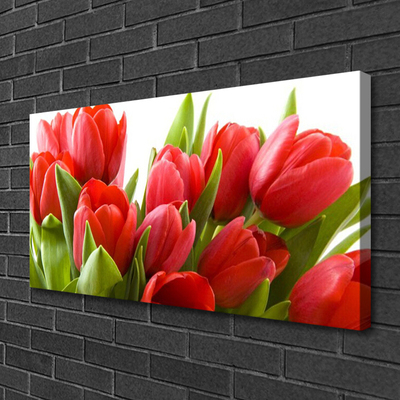 Tableaux sur toile Tulipes floral rouge vert