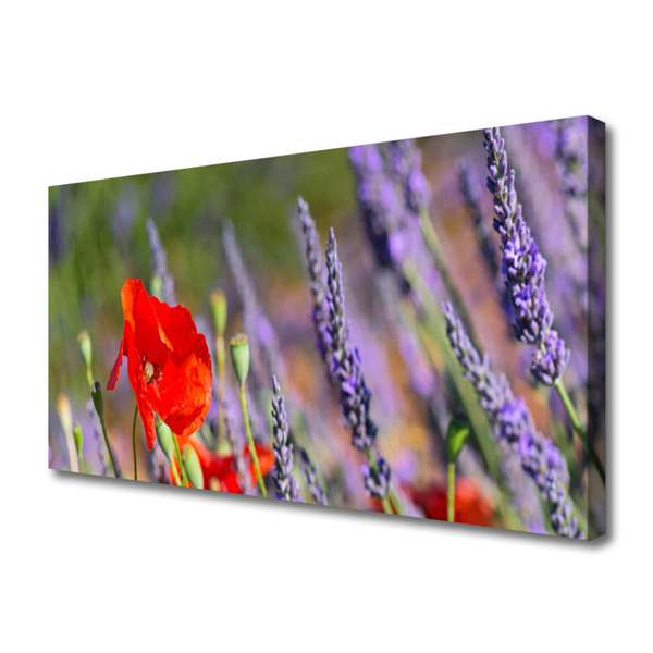 Tableaux sur toile Fleurs floral rouge violet vert