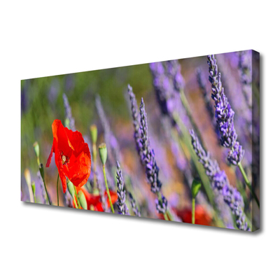 Tableaux sur toile Fleurs floral rouge violet vert