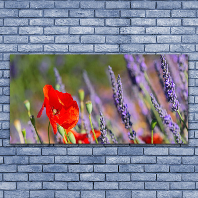 Tableaux sur toile Fleurs floral rouge violet vert