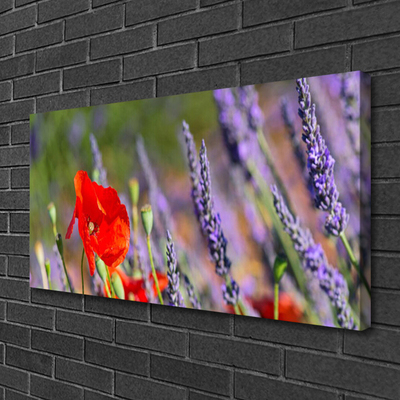 Tableaux sur toile Fleurs floral rouge violet vert