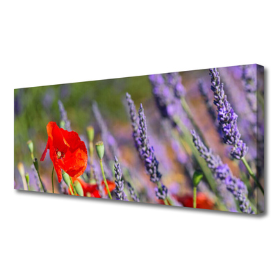 Tableaux sur toile Fleurs floral rouge violet vert