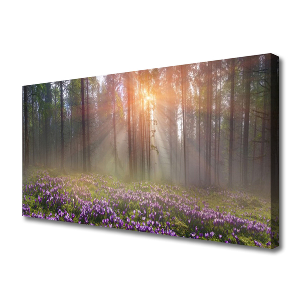 Tableaux sur toile Forêt fleurs nature rose vert brun