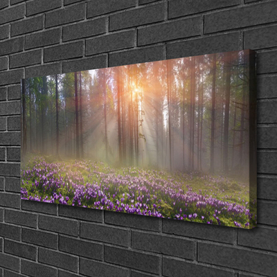 Tableaux sur toile Forêt fleurs nature rose vert brun