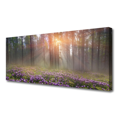 Tableaux sur toile Forêt fleurs nature rose vert brun