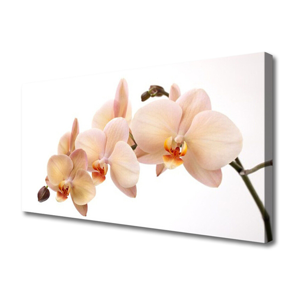 Tableaux sur toile Fleurs floral blanc brun