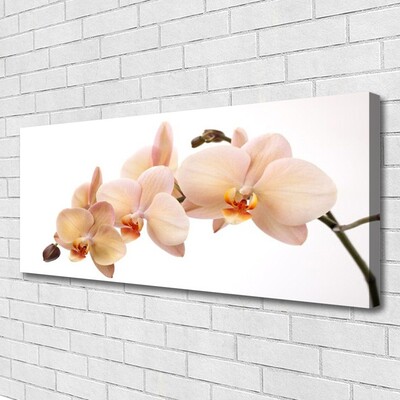 Tableaux sur toile Fleurs floral blanc brun